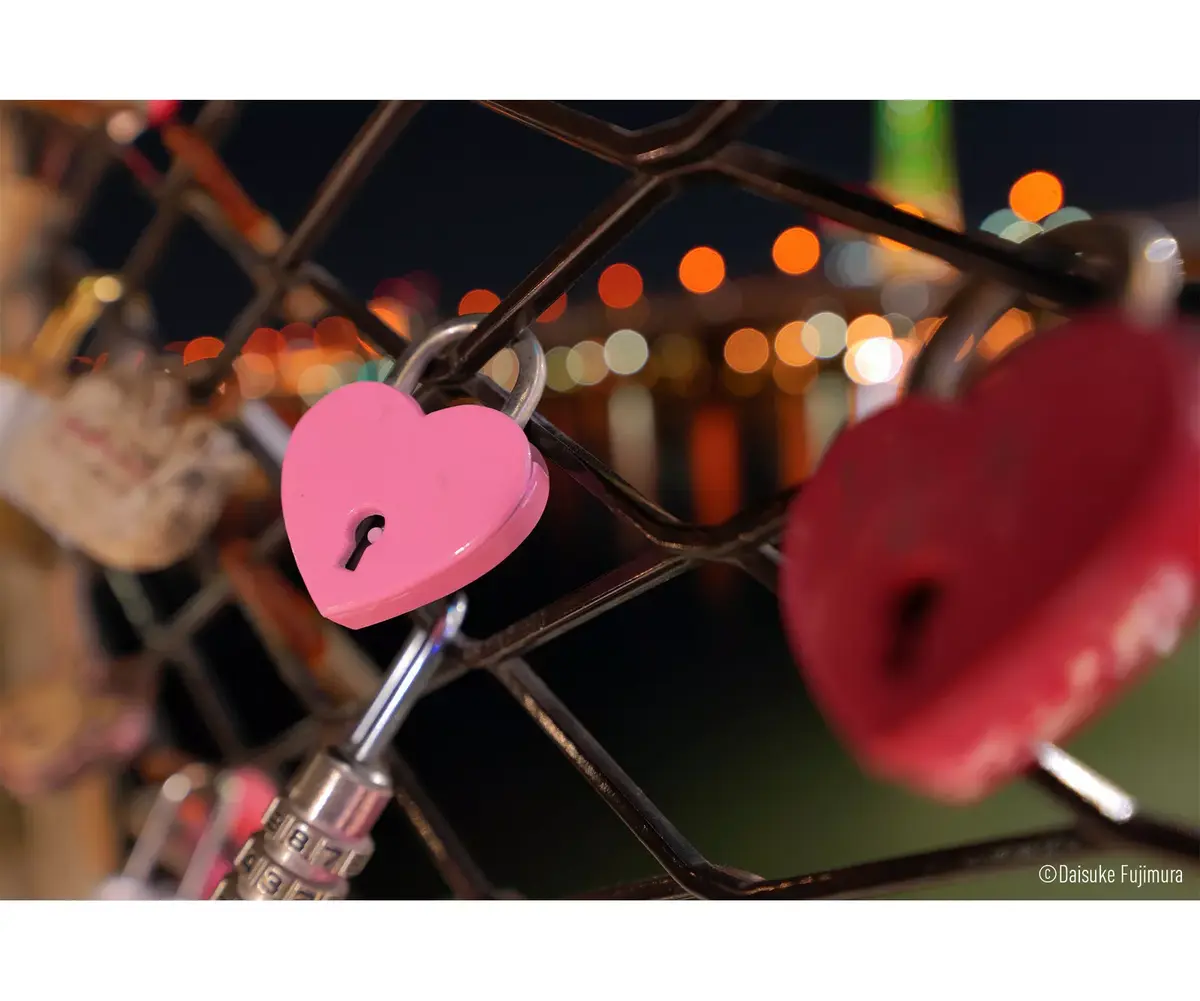 Panasonic Lumix S 14-28mm f/4-5.6 Macro объектив Photo 9