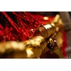 Объектив Panasonic Lumix S 28-200mm f/4-7.1 Macro O.I.S. Photo 13