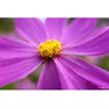Объектив Panasonic Lumix S 28-200mm f/4-7.1 Macro O.I.S. Photo 15