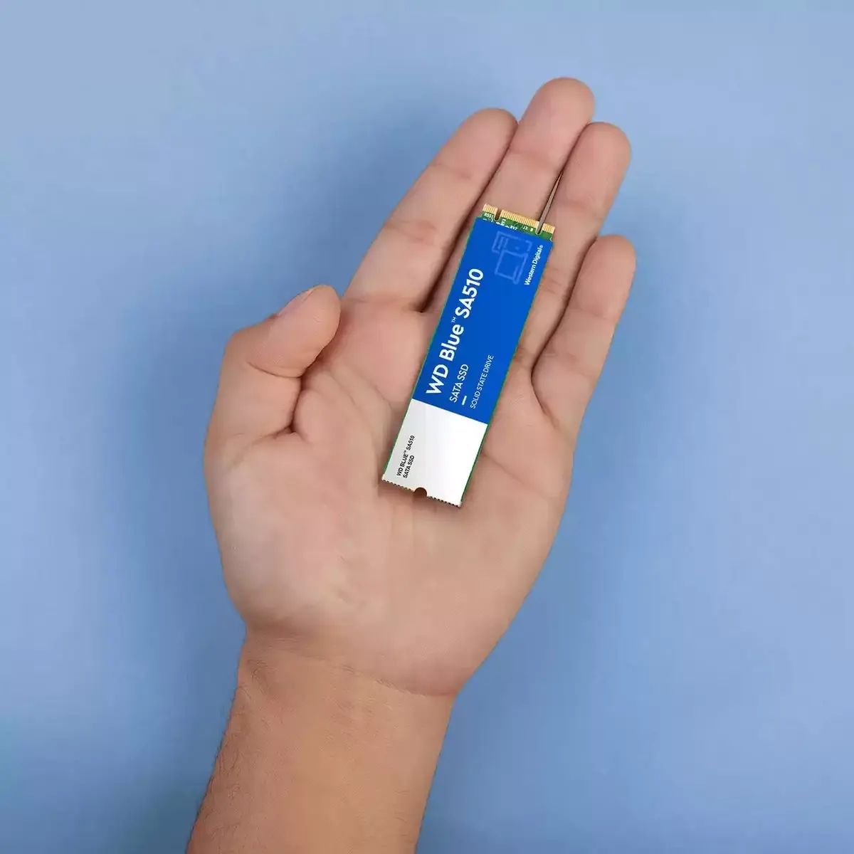 SSD Western Digital 2 TB WDS200T3B0B Photo 5