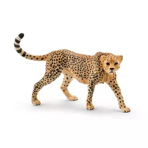 Schleich Wild Life Гепард Самка Многоцветный Пластик 3+ года
