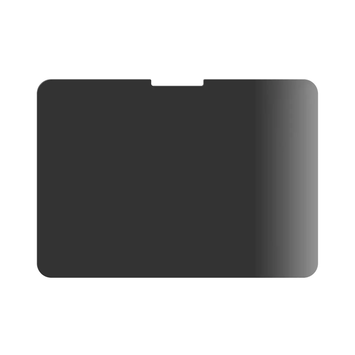 Privātuma ekrāna aizsargstikls PanzerGlass iPad Pro 11" (2024) Photo 4