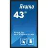 Цифровой рекламный экран iiyama TF4339AS-B1AG Photo 2