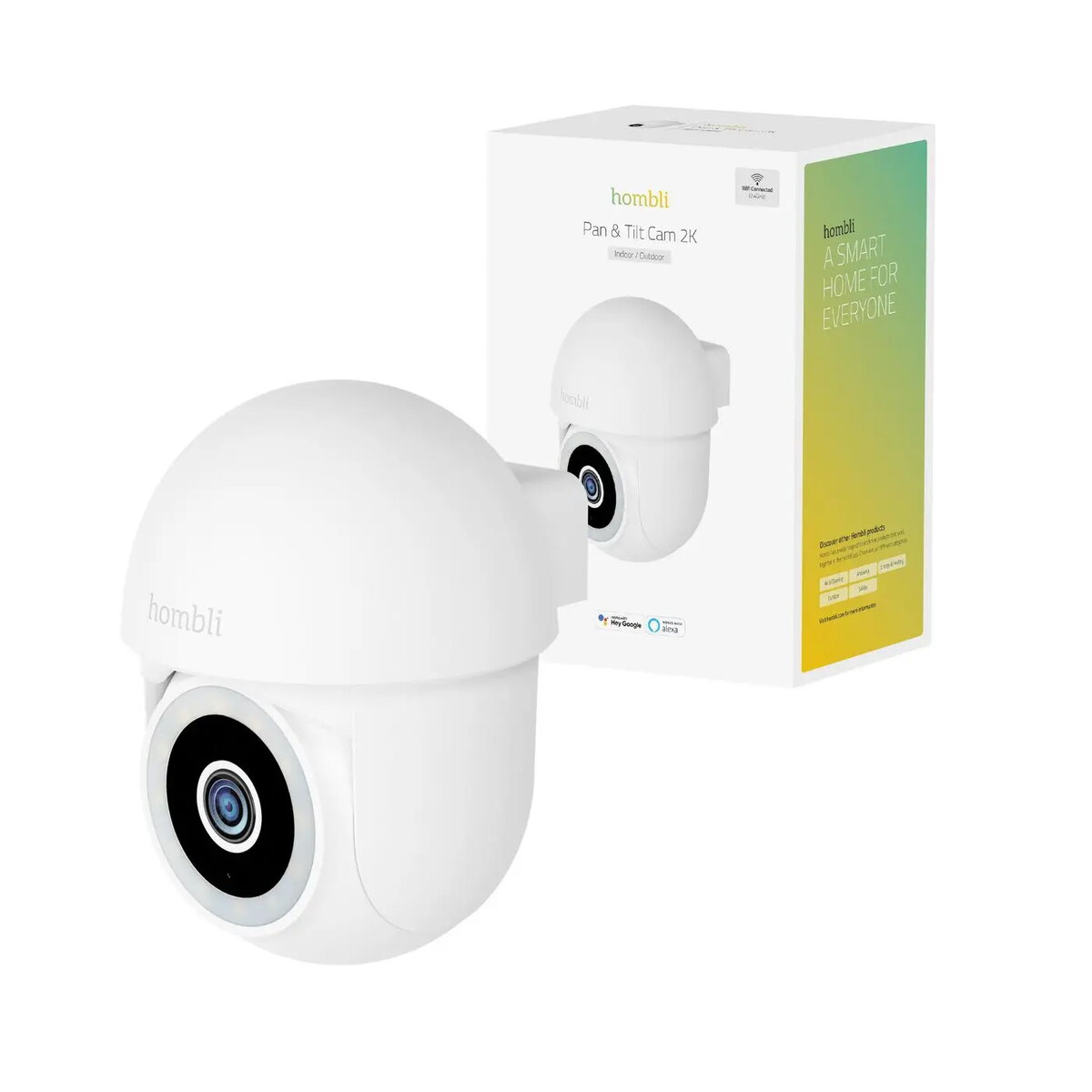 Surveillance Cameras