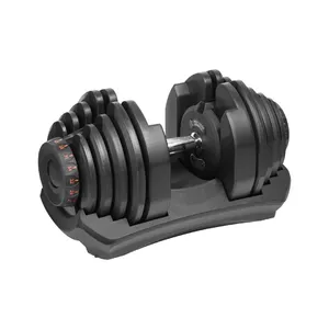 Adjustable cast iron dumbbells Rebel RBA-2304 up to 40 kg, pair with spinlock collars
