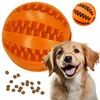 Жевательная игрушка Springos PA0291 Photo 2