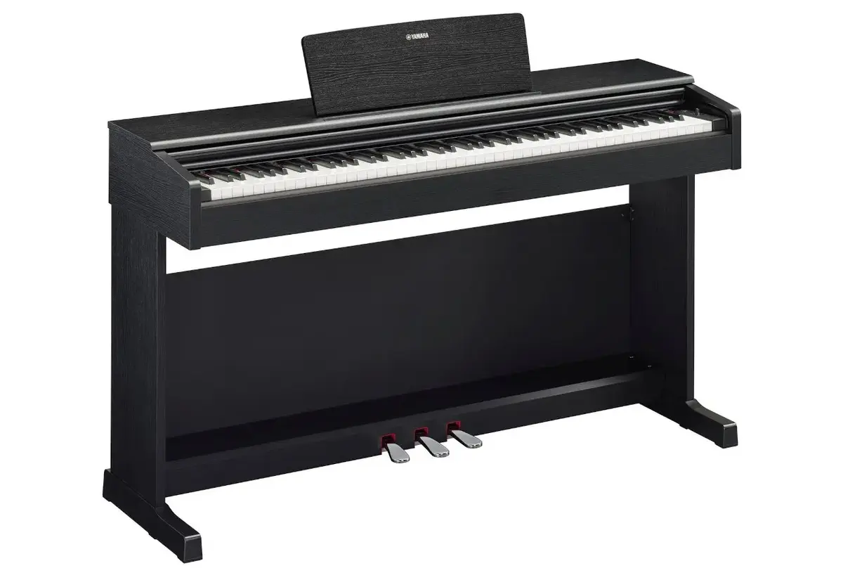 Цифровое пианино YAMAHA ARIUS YDP-145B Photo 2