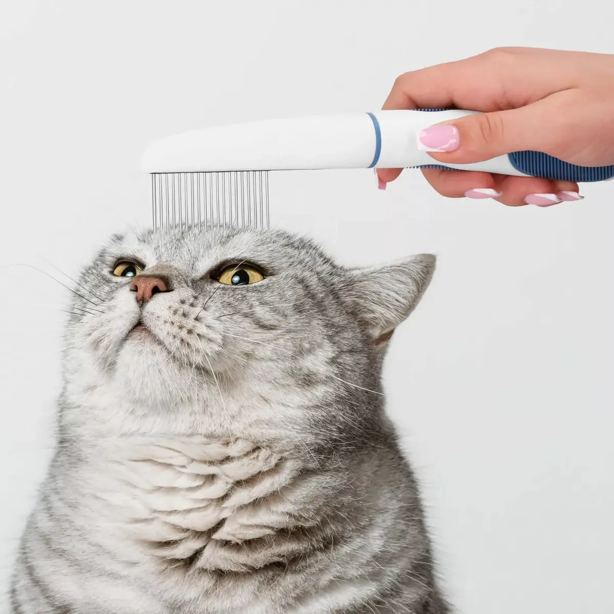 Cat Comb Springos PA0262 — Stainless Steel Teeth Photo 6