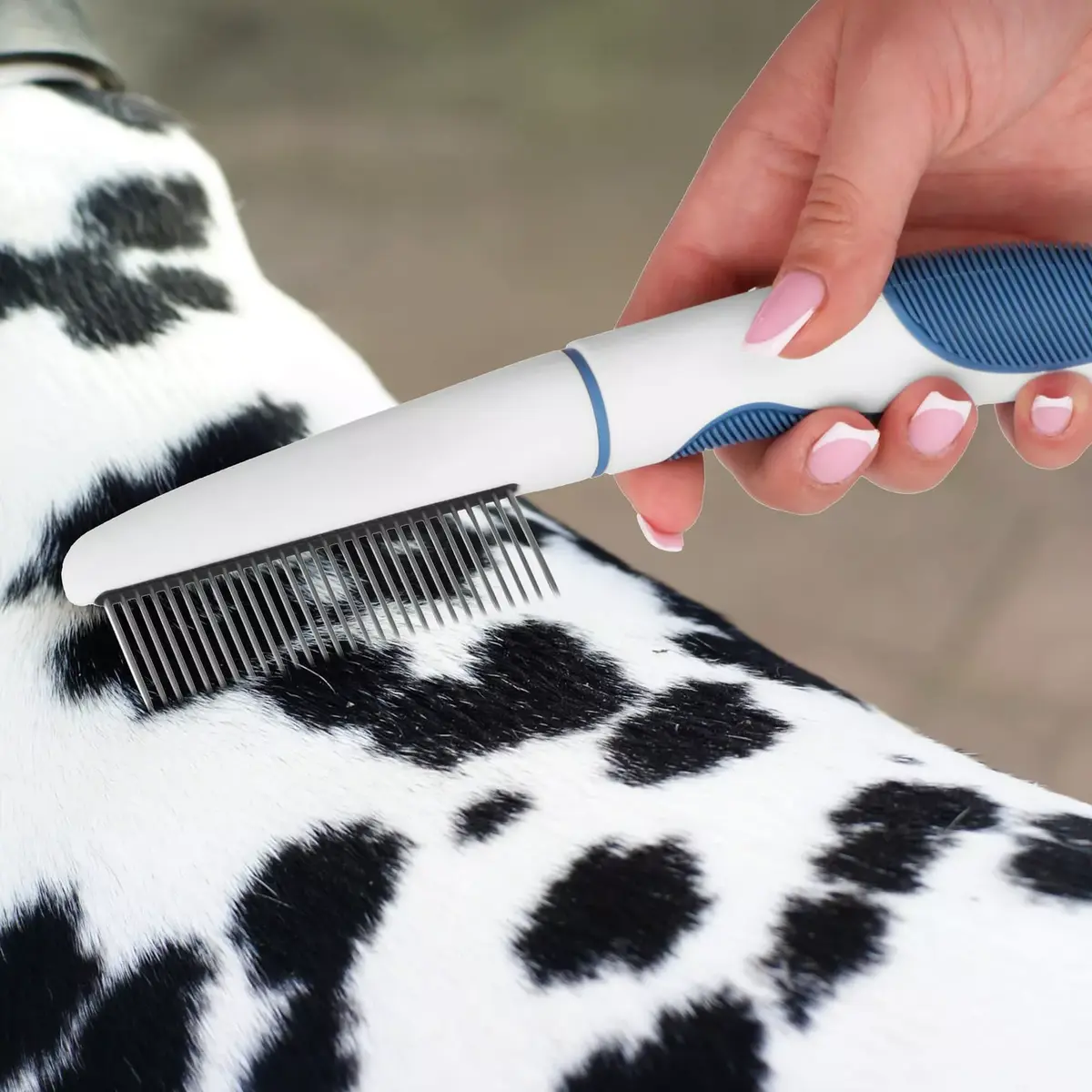 Cat comb Springos PA0263 22.5 cm Photo 4