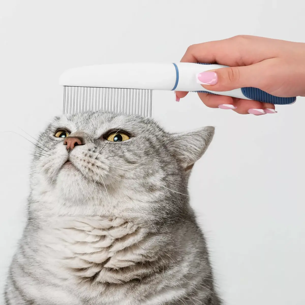 Cat comb Springos PA0263 22.5 cm Photo 5