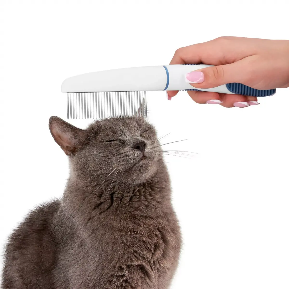 Cat comb Springos PA0263 22.5 cm Photo 10