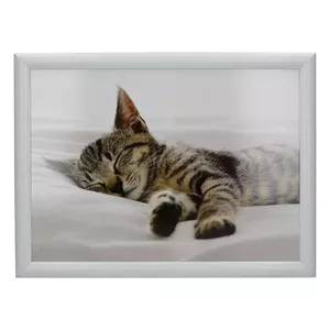 Paliktnis‑spilvens Creative Tops KITTEN, 44 x 34 cm, mīksts galda paklājiņš