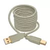 USB 2.0 A to B Cable Tripp Lite U022-006-BE Photo 2