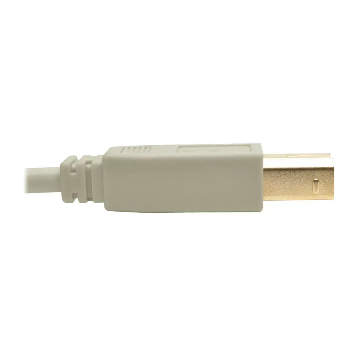 USB 2.0 A to B Cable Tripp Lite U022-006-BE Photo 3