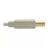 USB 2.0 A to B Cable Tripp Lite U022-006-BE Photo 3
