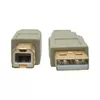 USB 2.0 A to B Cable Tripp Lite U022-006-BE Photo 4