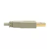 USB 2.0 A to B Cable Tripp Lite U022-006-BE Photo 5
