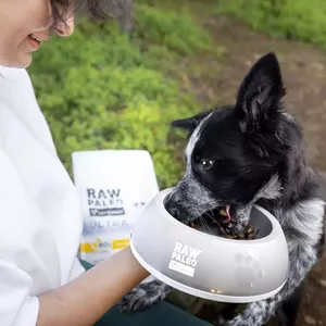 Сухой корм для щенков VETEXPERT RAW PALEO Ultra Medium & Large Puppy Turkey 2 кг, без зерна, белок 30%, жир 14%