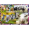 Пазл TREFL Funny 4×250 элементов Photo 2