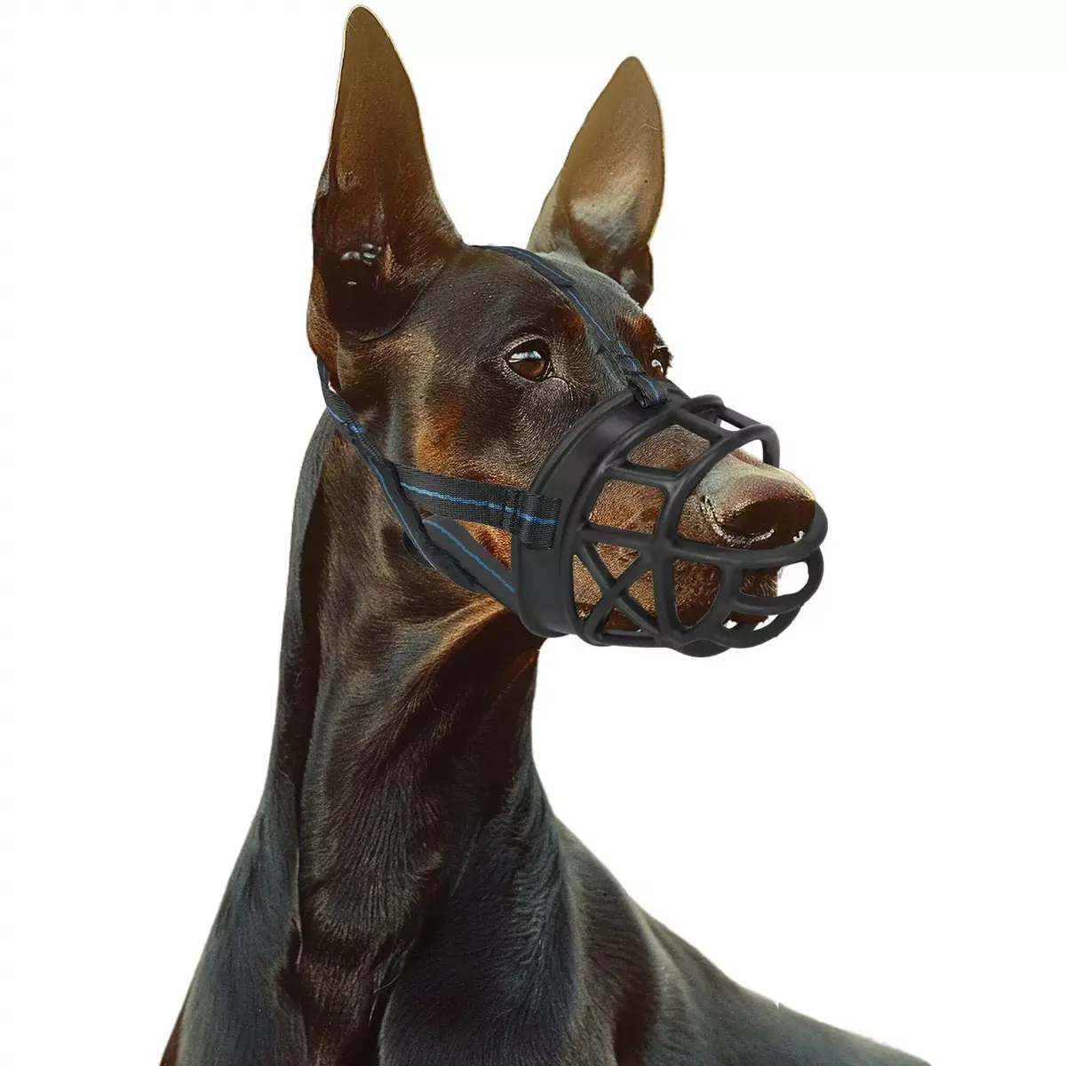 Dog muzzle Springos PA0268 Size M Photo 5