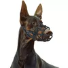 Dog muzzle Springos PA0270 XL Photo 5