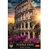 TREFL Premium Plus puzle 1000 gab. — Kolizejs Photo 2