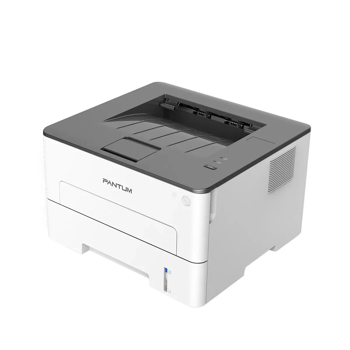 Printeris Pantum P3020D Photo 3