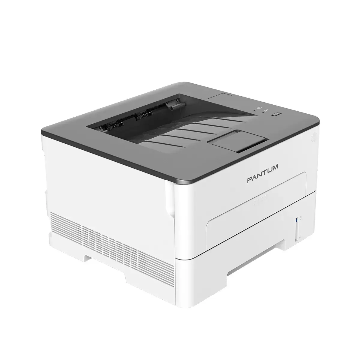 Printeris Pantum P3020D Photo 5