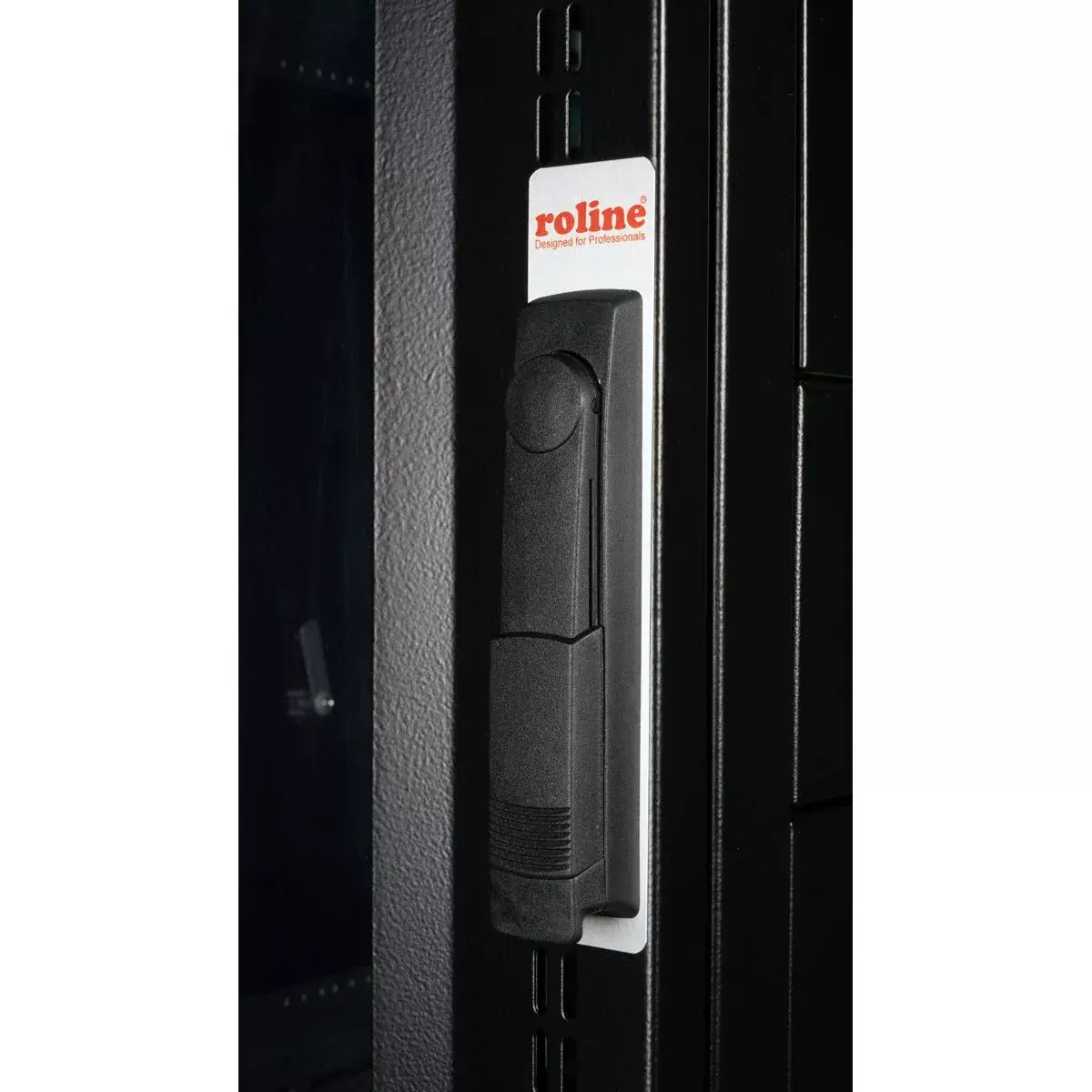 Freestanding rack ROLINE 19-inch server rack Pro 42U Photo 2