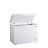 Kravas saldētava Frigelux CCO300BE — 290 l Photo 2