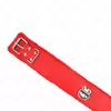 Necklace with Leash KINK Model 4 Red 40–48 cm Photo 5