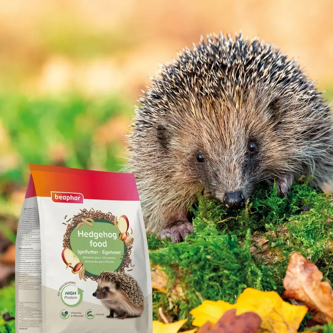 beaphar complete hedgehog food 1 kg Photo 4