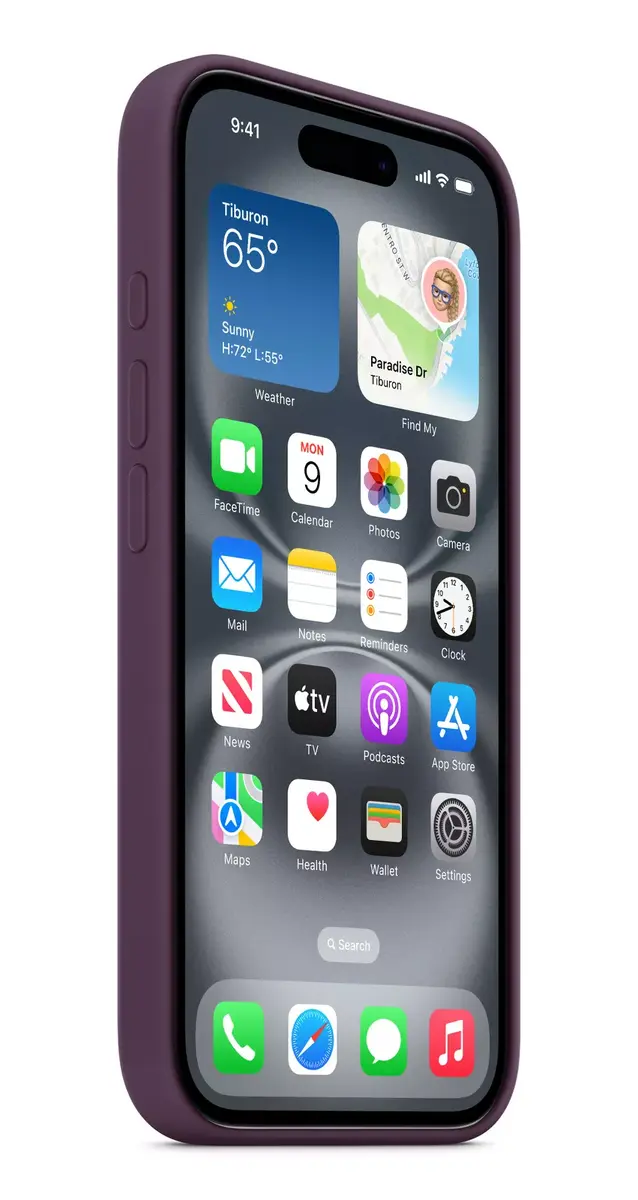 Vāks iPhone 16 Silicone Case Photo 6
