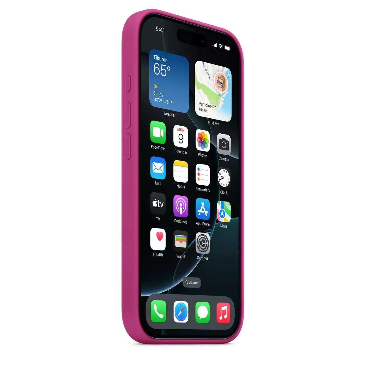 Cover Apple iPhone 16 Pro Silicone Case with MagSafe Photo 5