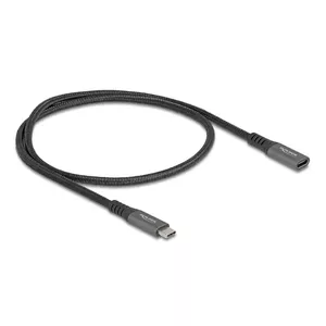 DeLOCK USB Extension Cable USB Type-C male to female 10 Gbps 0.5 m grey metal