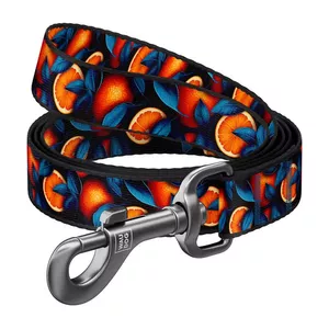 Nylon dog leash Waudog 341-4054 — Oranges pattern, length 122 cm