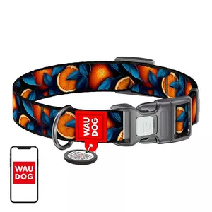 Waudog "Apelsīni" neilona suņu apkakle ar QR kodu, XL izmērs