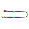 Поводок Waudog Gradient 20 мм 122 см Photo 2