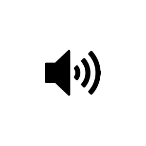 Built-in Speakers
