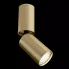 Потолочный светильник Maytoni FOCUS S C051CL-01MG Photo 2