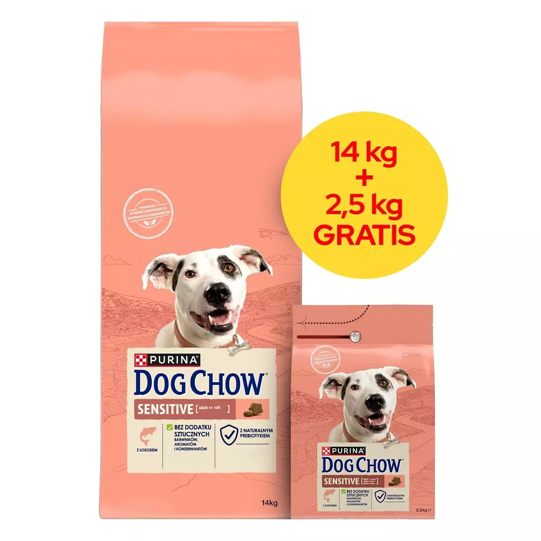 Sausais suņu barības Purina Nestlé Dog