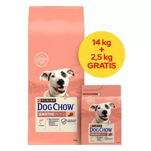 Сухой корм для собак Purina Nestlé Dog Chow Sensitive Salmon 14 кг — взрослым, белок 23%, жир 10%