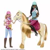 Lelle mājdzīvnieks Mattel Barbie Mysteries Lielā zirgu skrējiena Photo 9