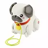 Fisher-Price FP Pets Walk-the-Pup Паг Photo 5