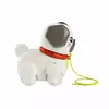 Fisher-Price FP Pets Walk-the-Pup Паг Photo 7