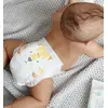 Kit and Kin KKS1NAPPIESBP подгузники размер 1, 40 шт. Photo 2