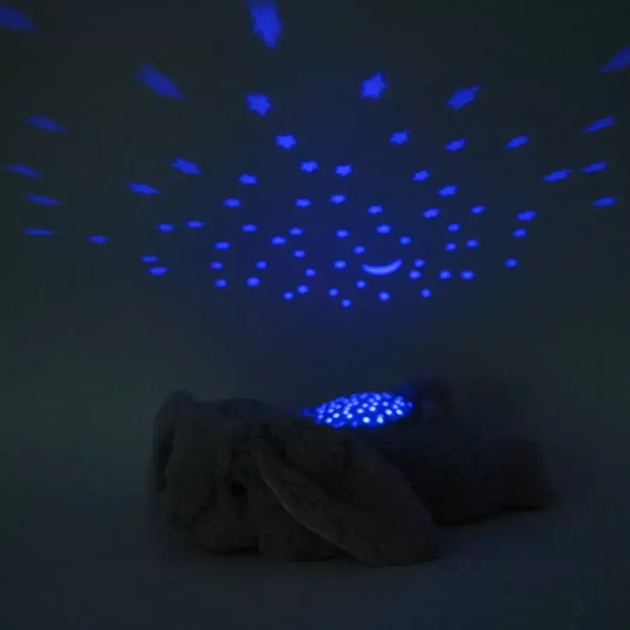 Cloud B CB7472-BUG bērnu nakts lampa Photo 2