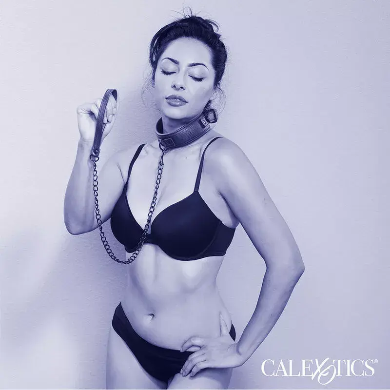 Leather Collar & Leash CALEXOTICS Nocturnal Photo 5