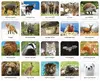 Adamigo Game Polish Mammals - Memory mini Photo 2