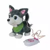 Interaktīvā rotaļlieta SIMBA 105893243 Photo 6